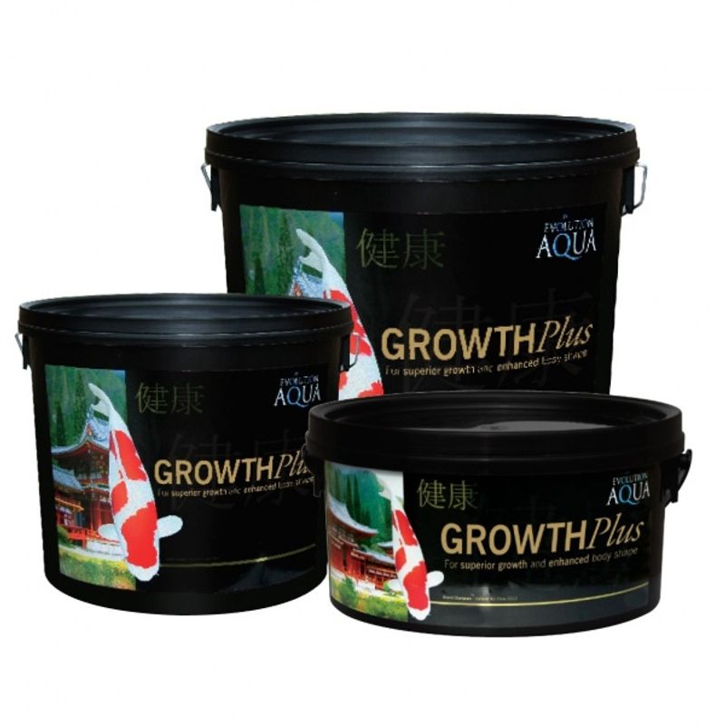 GROWTH 6000G (5-6MM/MEDIUM)
