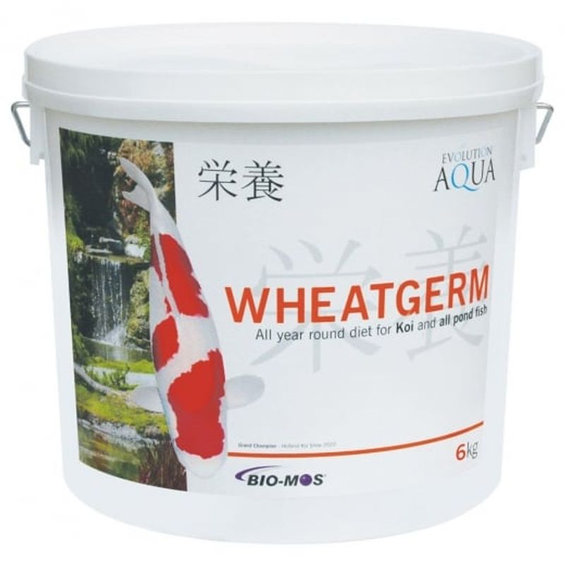 WHEATGERM 6000G (3-4MM/SMALL)