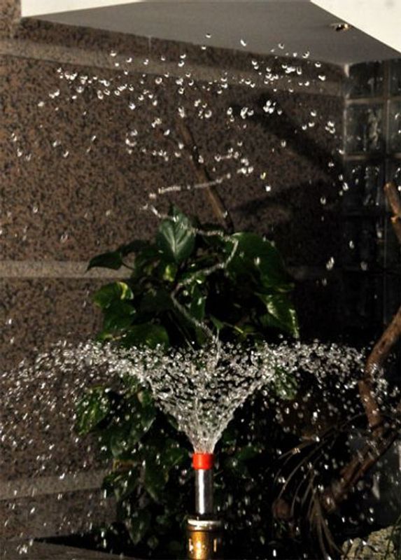 Hibiscus | Fontenedyse