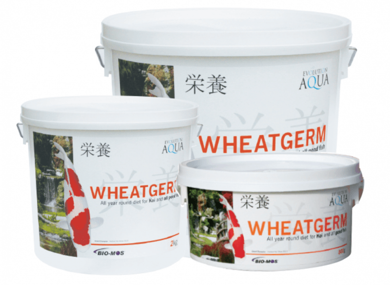 WHEATGERM 2000G (3-4MM/SMALL)