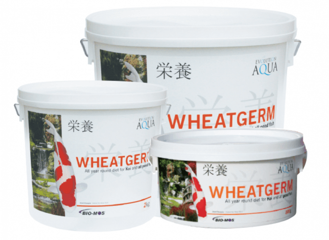 Hovedbilde WHEATGERM 6000G (5-6MM/MEDIUM)