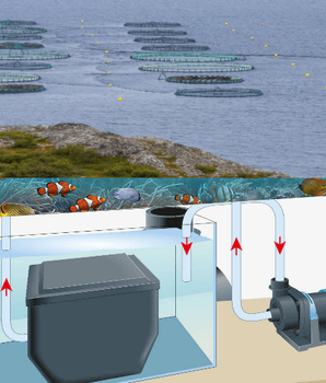 Hovedbilde PUMPER FOR SALTVANN