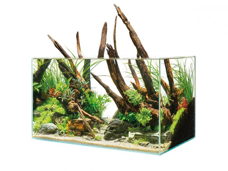 AQUASCAPER AKVARIUM FRA OASE