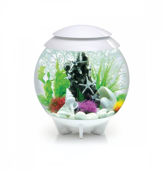 Hovedbilde BiOrb | HALO 30 MCR Hvit