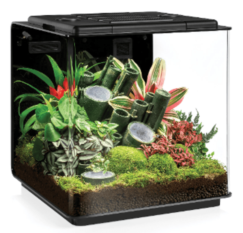 BIORB EARTH TERRARIUM