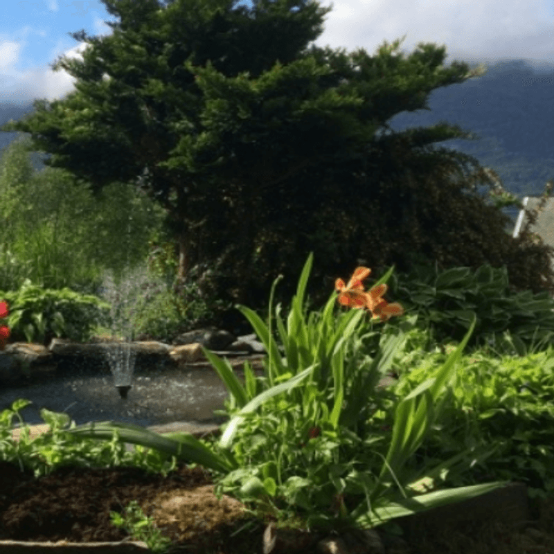 Dampakke | Fontenedam 500L