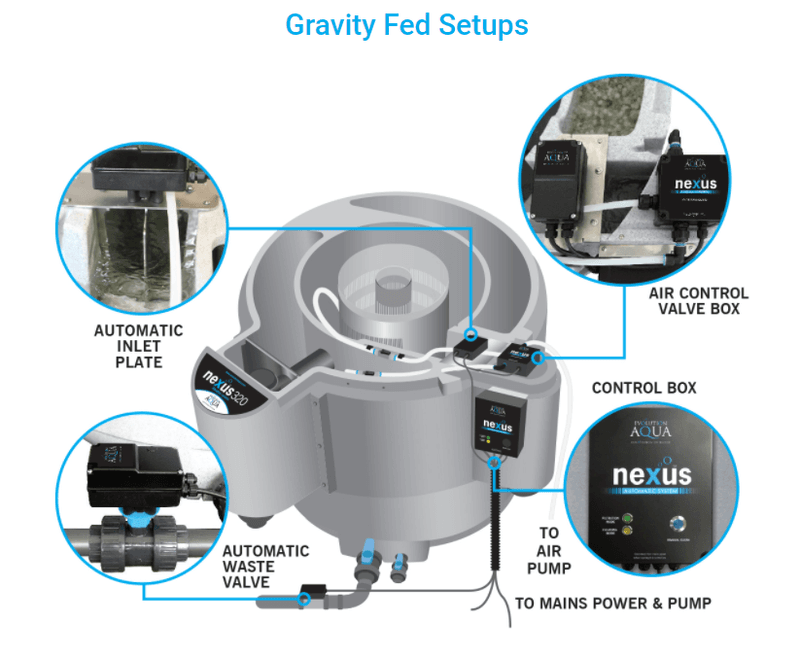 Nexus Automatic System | Gravity Set Up (300 body)