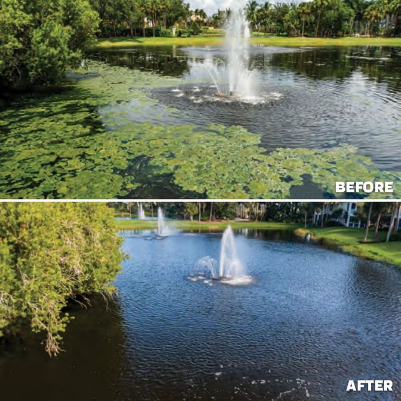 KINGFISH NANOBUBBLE GENERATOR