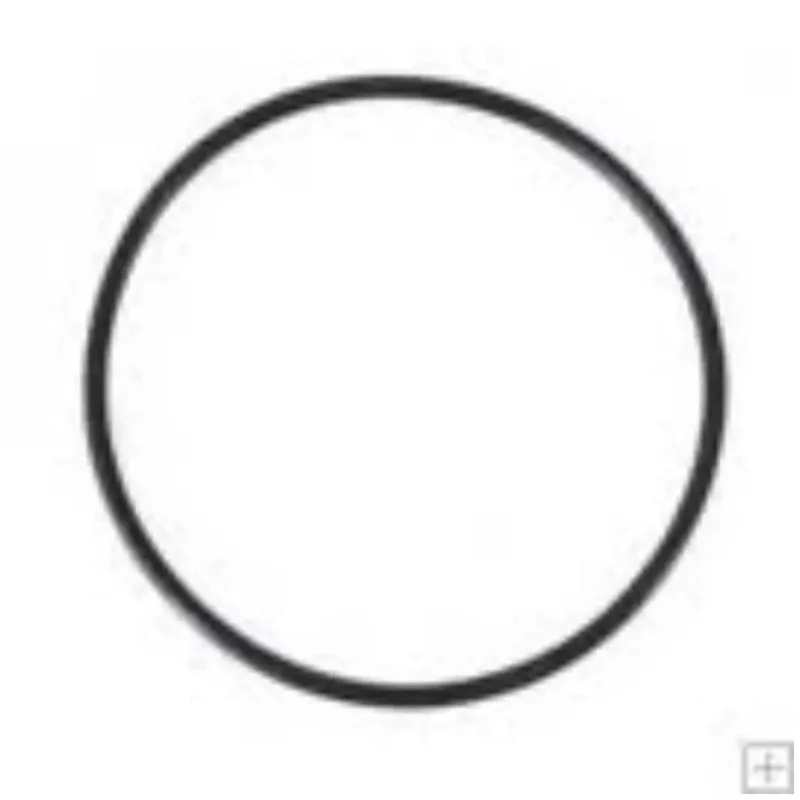 O-Ring | for Filtoclear 5,13,19,31000