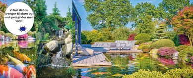 Banner Niigata Nettbutikk dam