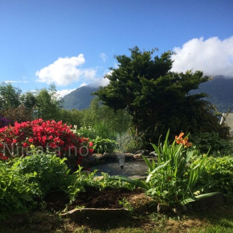 Dampakke | Fontenedam 500L